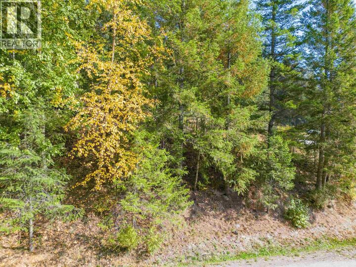 Property Photo:  3 Rainbow Drive Lot  BC V0K 1J0 