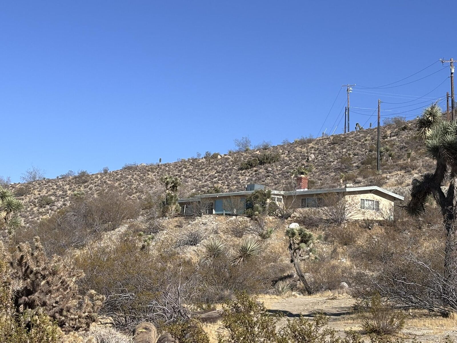 Property Photo:  7891 Victor Vista Avenue  CA 92284 