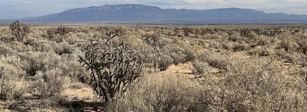 Property Photo:  2415 22nd Street SW  NM 87144 