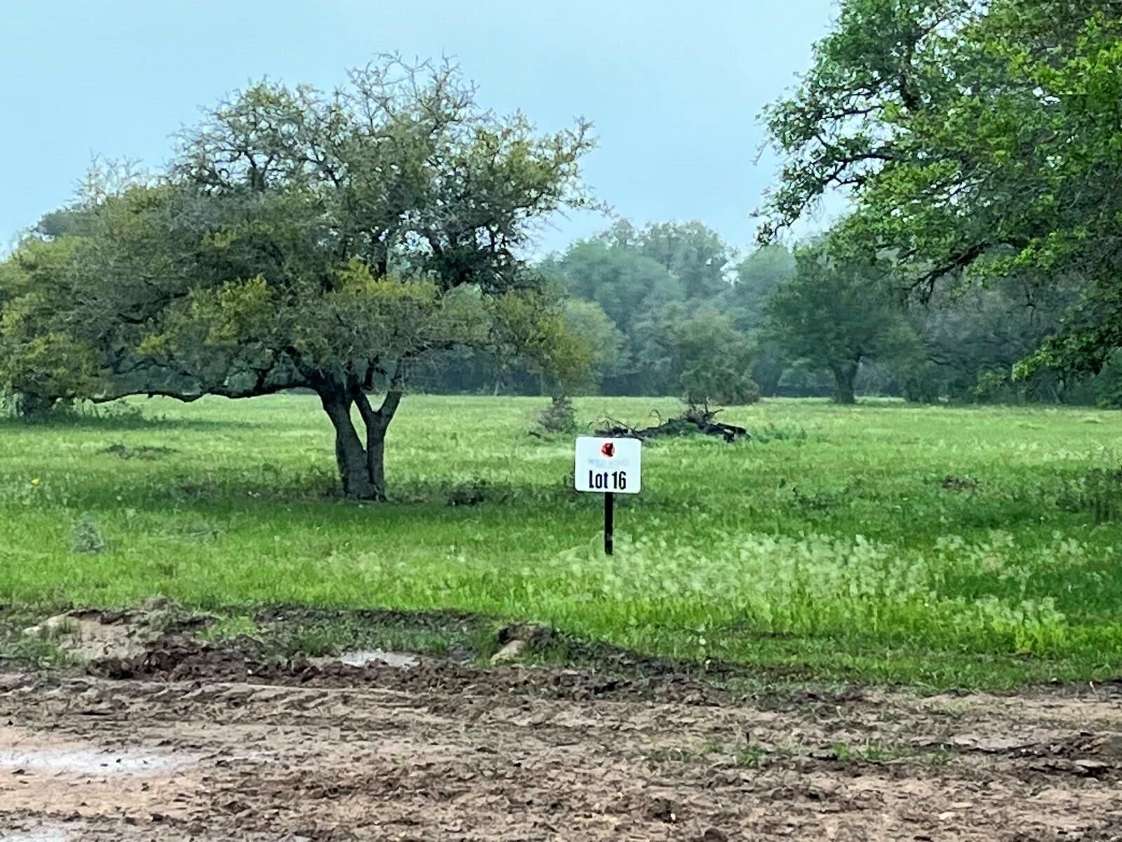 Property Photo: 0 Pintail Lane TX 78934