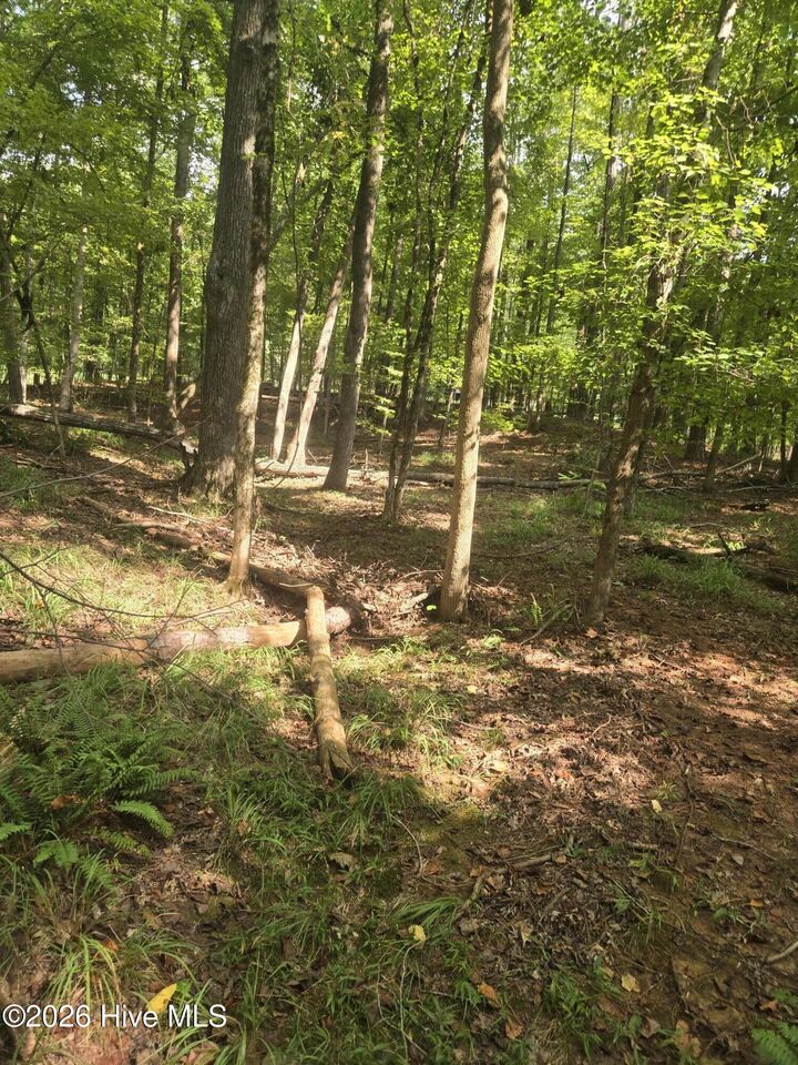 Property Photo:  Lot 12 Fishing Creek Estates Road  GA 30817 