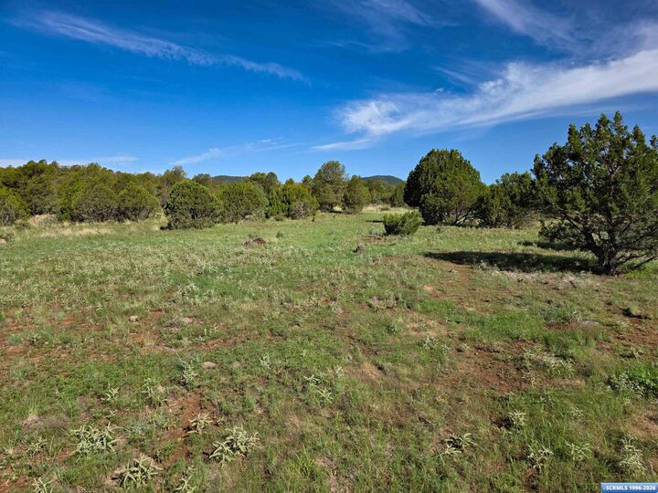 Property Photo:  37-X3 Black Dog Road  NM 88061 