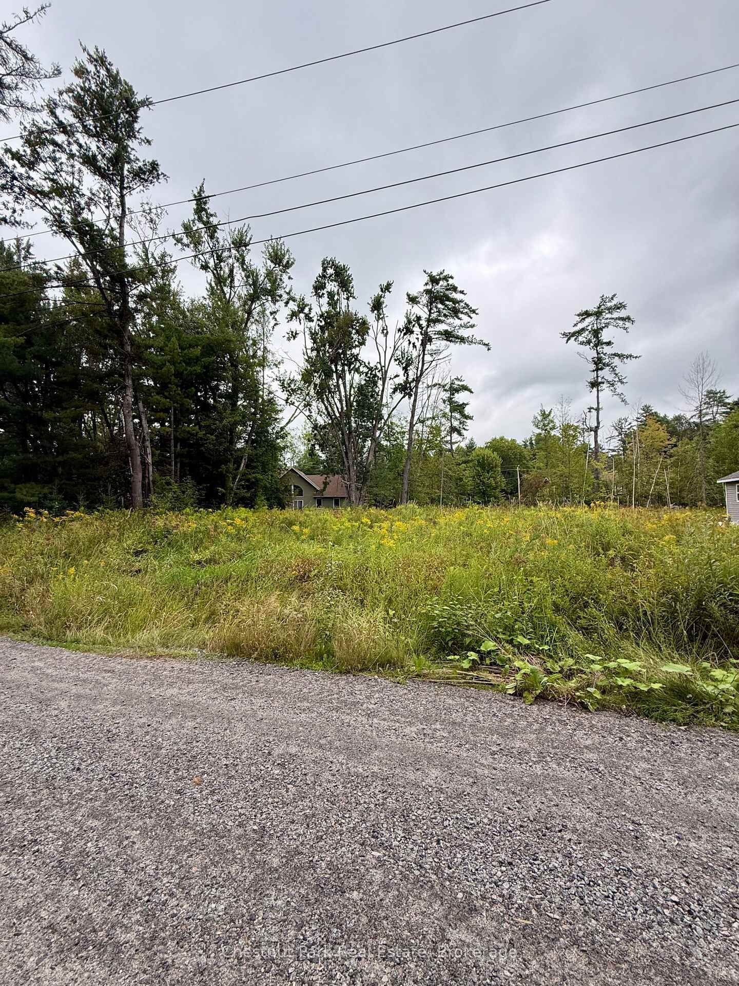Property Photo:  1006 Chippawa Avenue  ON P1P 1R1 