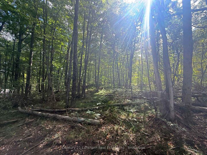 Property Photo:  00 Middle Lot Highway 62 N/A  ON K0K 2K0 
