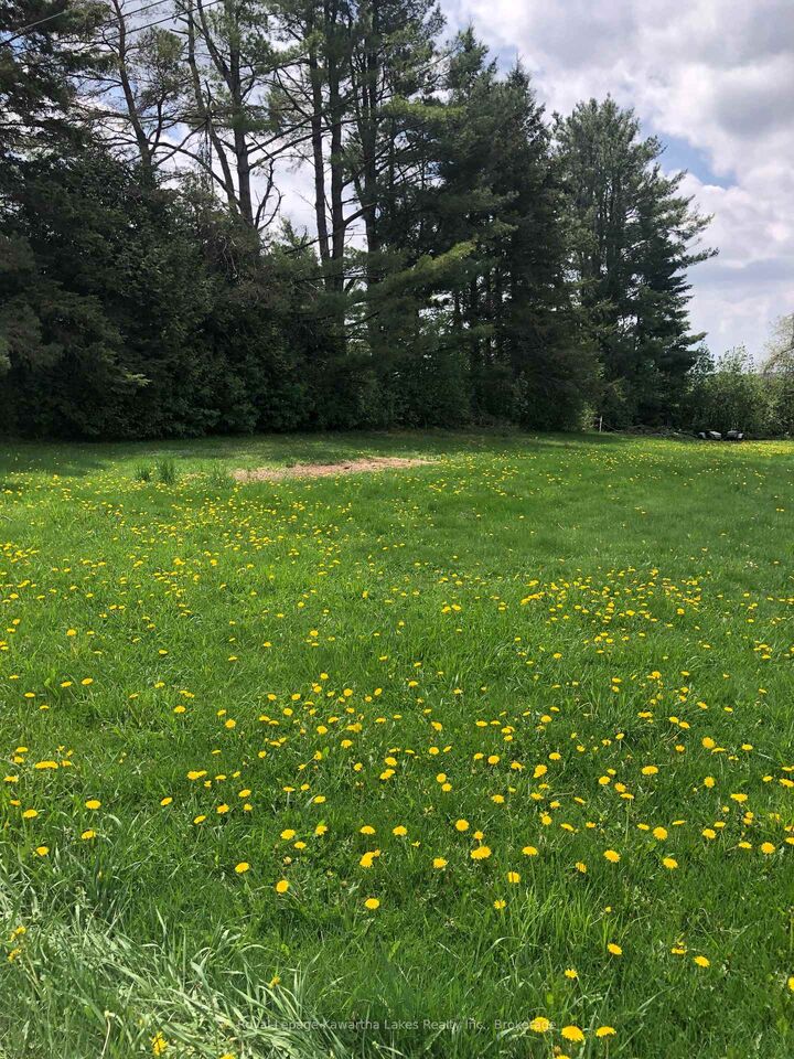 Property Photo:  8 Fulsom Crescent  ON L3V 0H5 