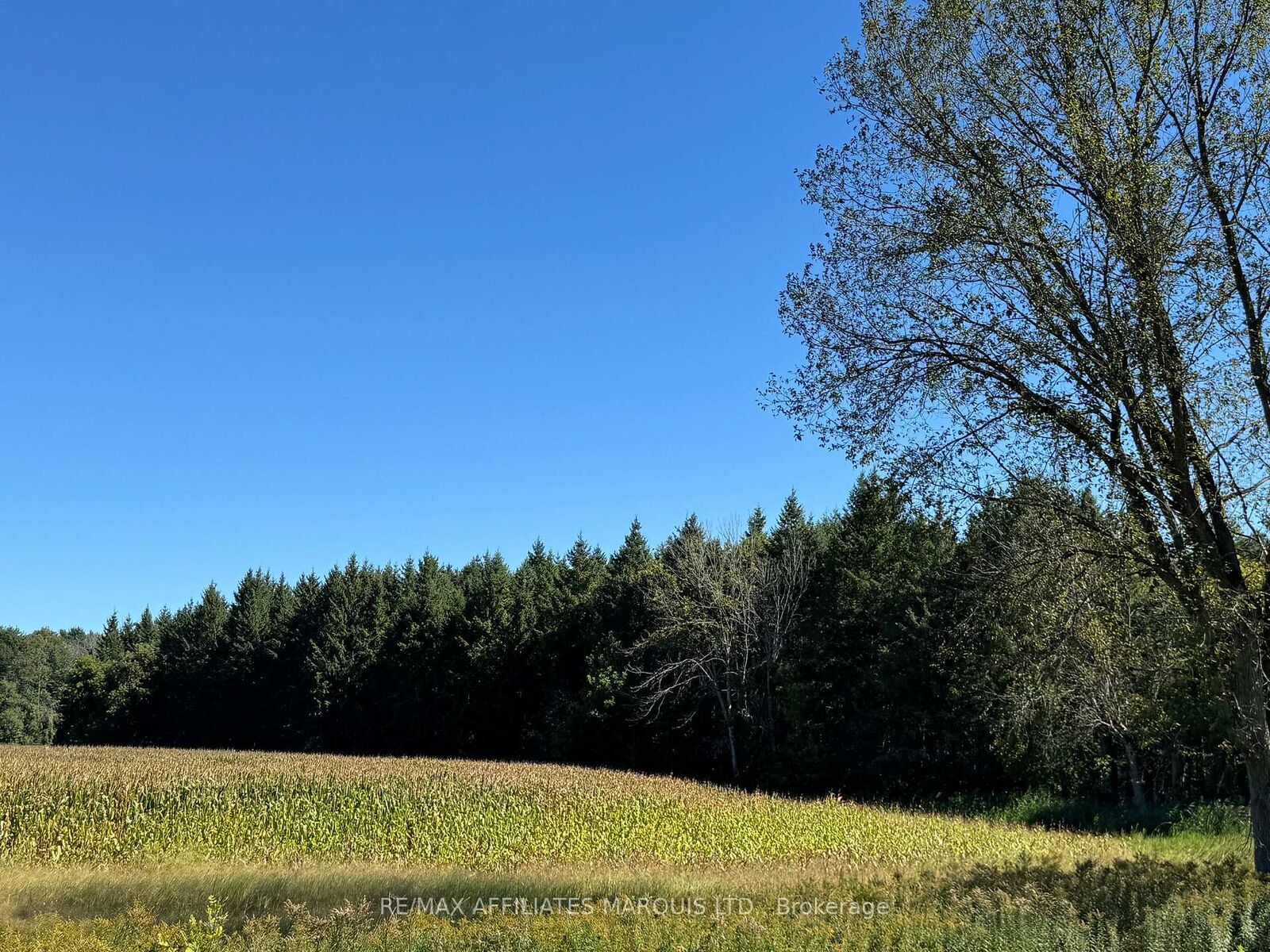 Property Photo:  0 Carman Road  ON K0E 1K0 