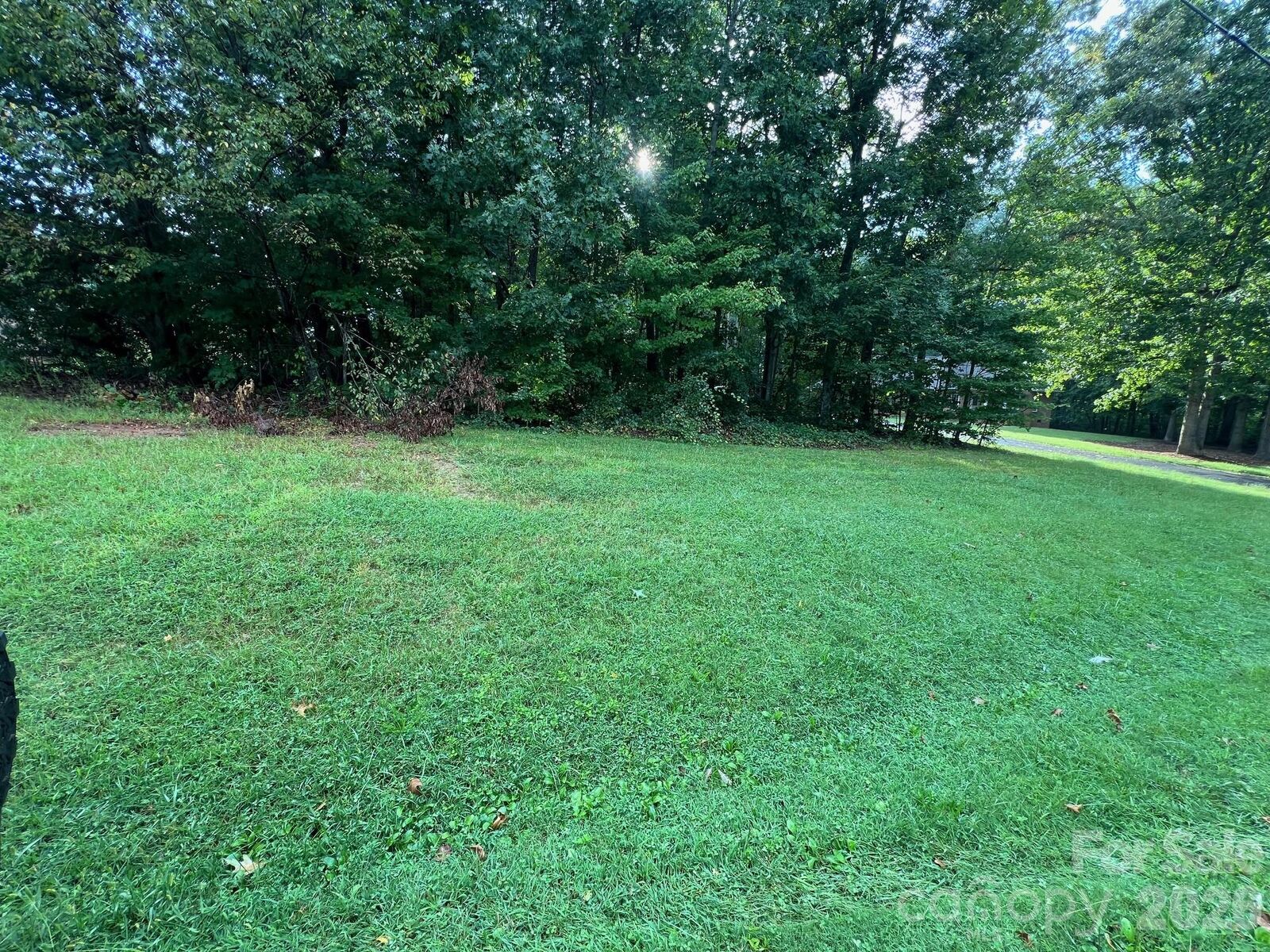 Property Photo:  0 Hayes Waters Road 2  NC 28655 