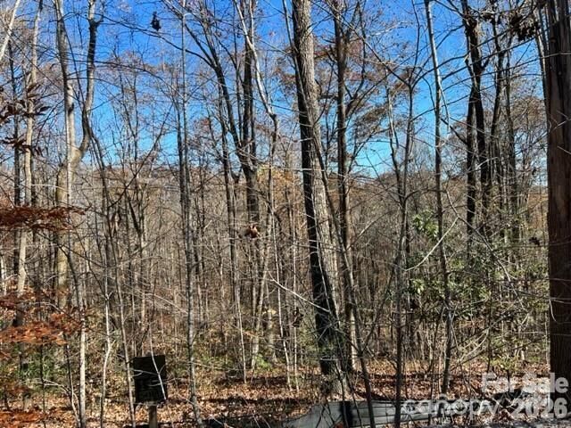Property Photo:  Tbd Trail Ridge Drive 113  NC 28752 