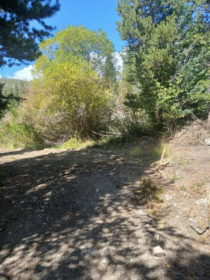 Property Photo:  Tbd Keystone Lode Rd  WY 82070 