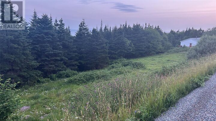 Property Photo:  485 Oceanview Drive  NL A0N 1T1 