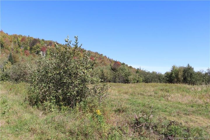 Property Photo:  1703 Route 121  NB E5T 1P1 