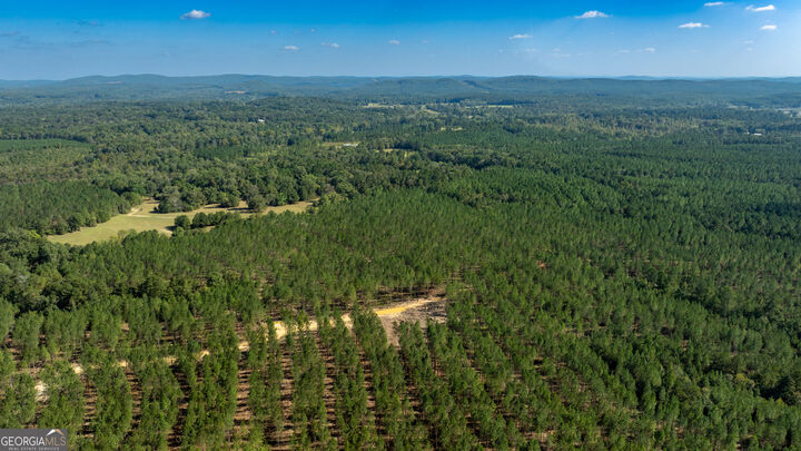 Property Photo: Tracts 13,14, 1 Livingston Rd SW GA 30161