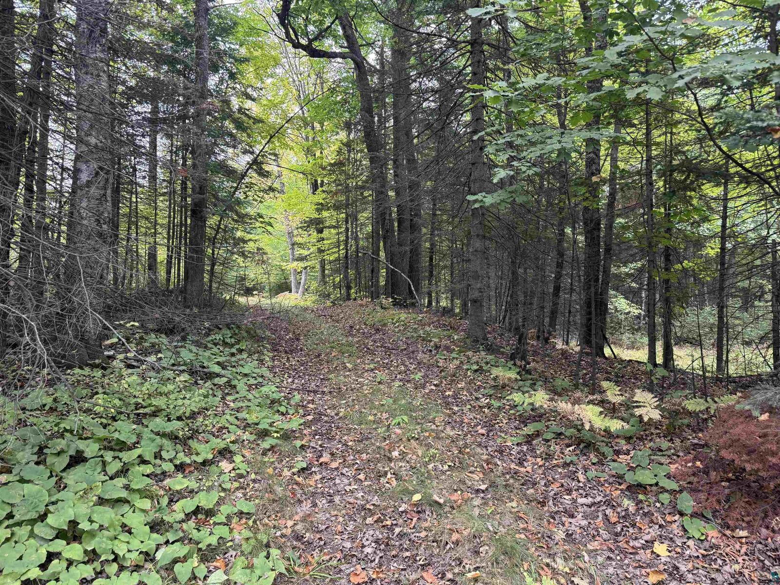 Property Photo: Xxx S Dump Rd WI 54854
