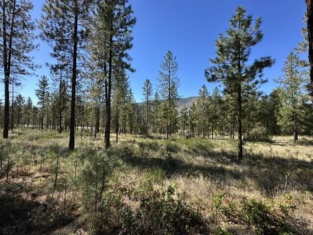 Property Photo: 1176 Fumi Cir WA 99141