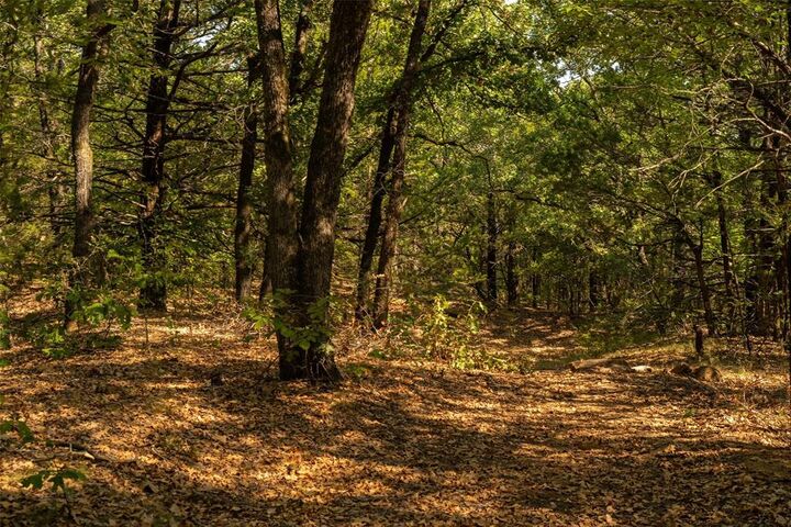Property Photo: 4 Acres Tiffany Lane TX 76273