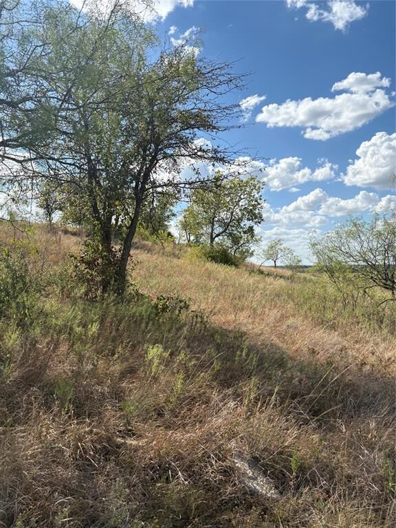 Property Photo:  19 Parks Medow Dr.  TX 76455 