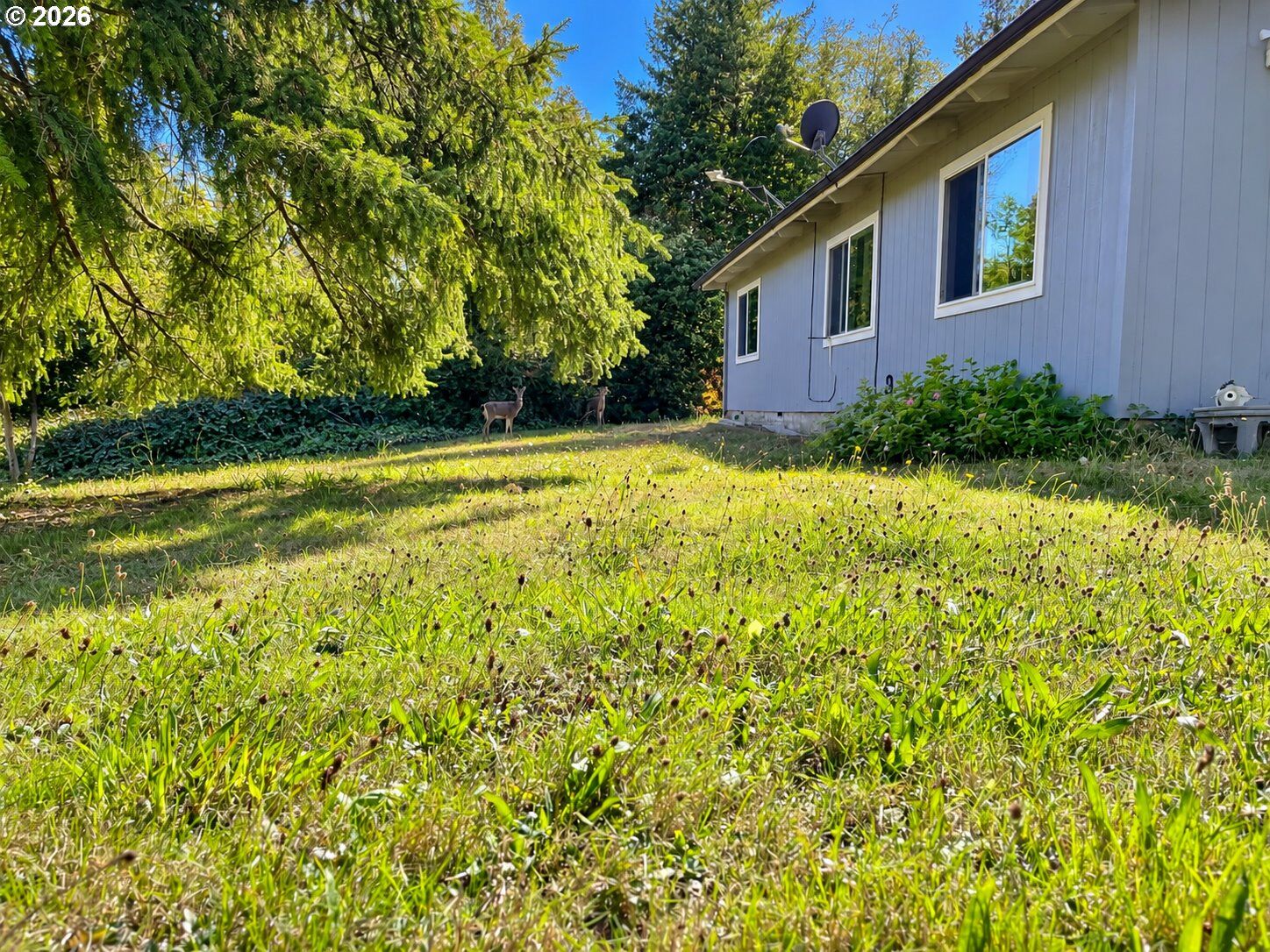 Property Photo:  99330 S Bank Chetco River Rd  OR 97415 