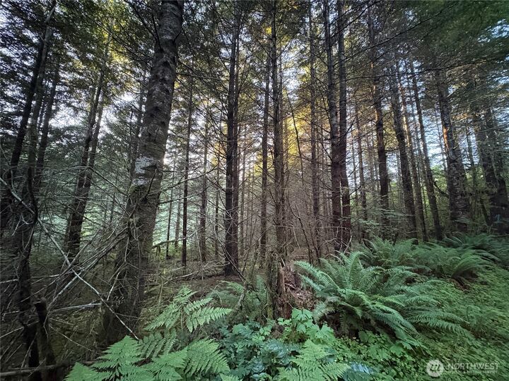 Property Photo: 0 Nka Wiest Road WA 98632
