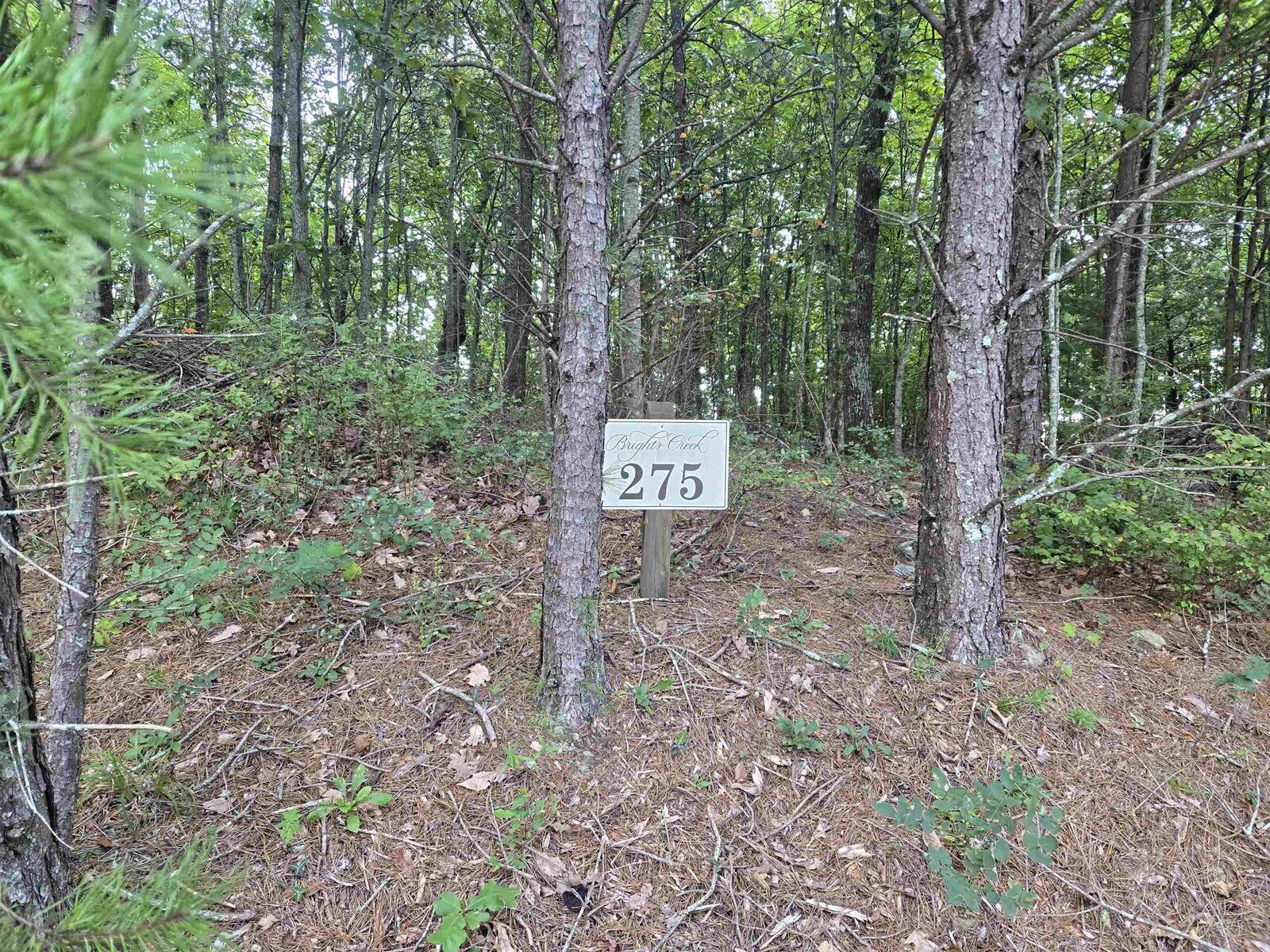 Property Photo:  275 Kincaid Place ***  NC 28756 
