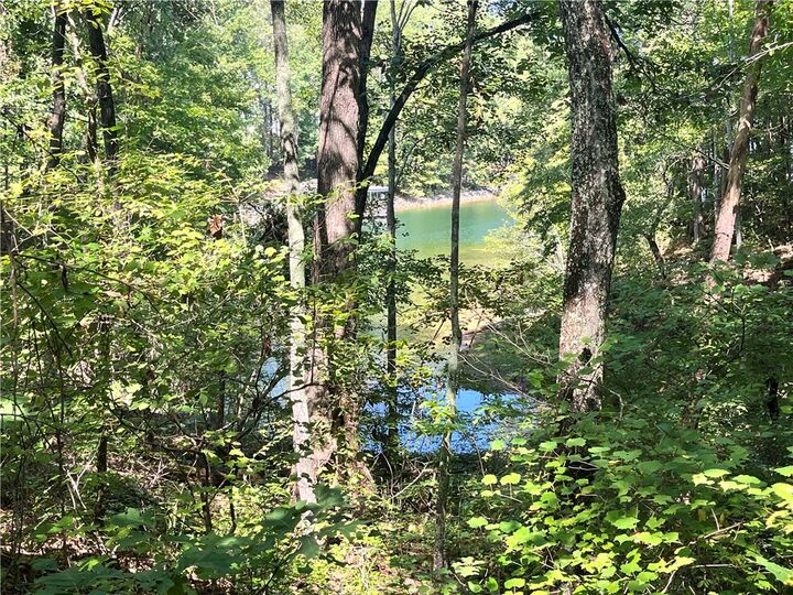 Property Photo: 106 N Waterside Drive SC 29672