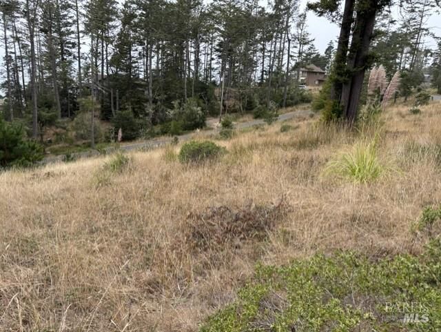 Property Photo:  22101 Cypress Court  CA 95450 