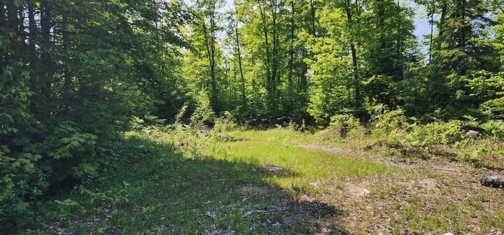 Property Photo: 400 Trophy Ln MI 49745