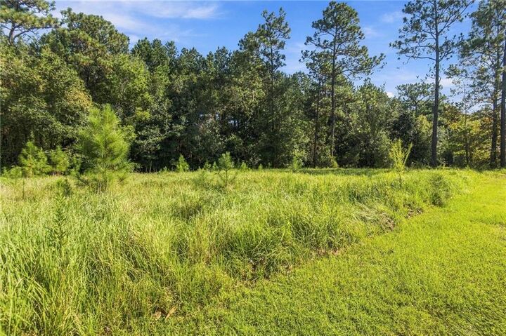 Property Photo:  0 March Pointe Court  AL 36582 