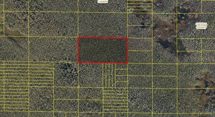 Property Photo: Holopaw Groves Road FL 34773