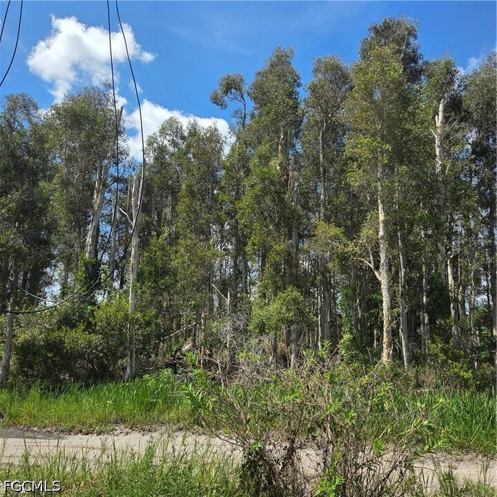 Property Photo:  3130 Meadow Road  FL 33974 