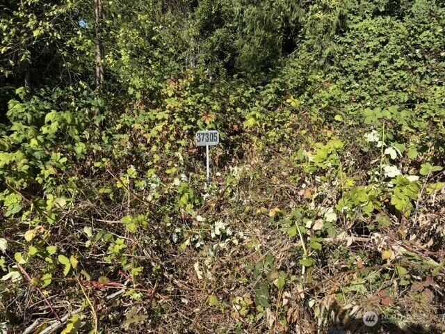 Property Photo:  37305  34th Avenue S  WA 98001 