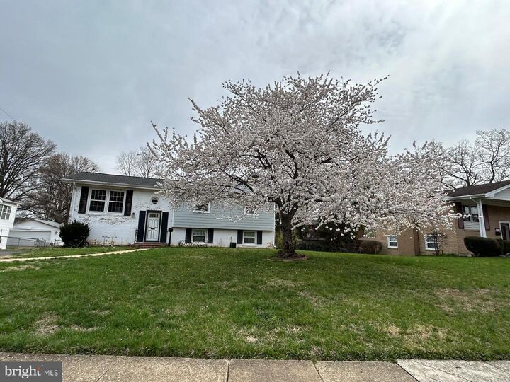 Property Photo: 6717 Anthony Street VA 22306