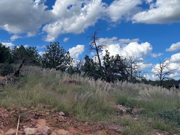 Property Photo:  521 N Peak Loop  AZ 85541 