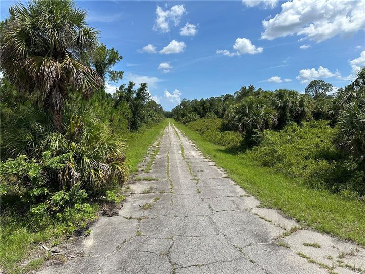 Property Photo: Lot 10 Langlais Drive FL 34288