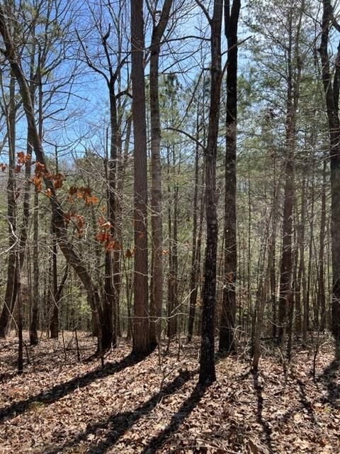 Property Photo:  Lt 3 Hunter Ridge  GA 30540 
