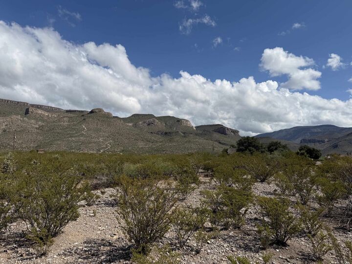 Property Photo:  Lot 1  NM 88310 