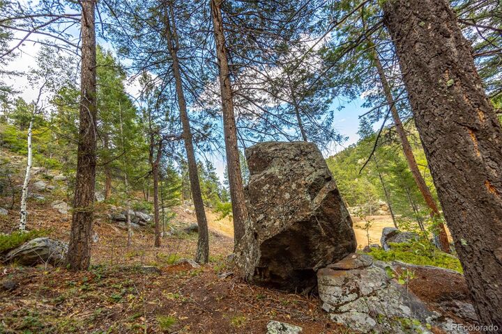 Property Photo:  9489 S Turkey Creek Road  CO 80465 