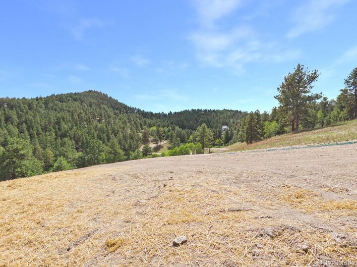 Property Photo:  N Turkey Creek Road  CO 80465 