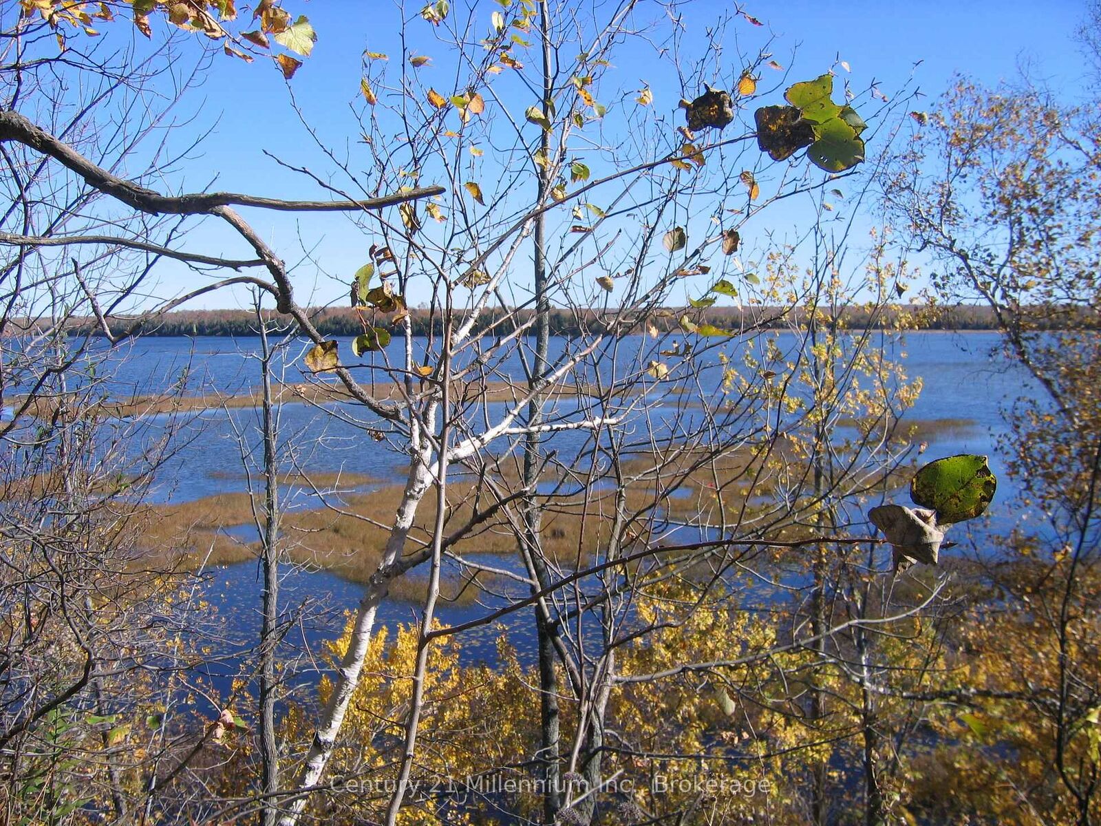 Property Photo: 0 Lt 26 Con 2 Wbr Albemarle Concession ON N0H 2T0