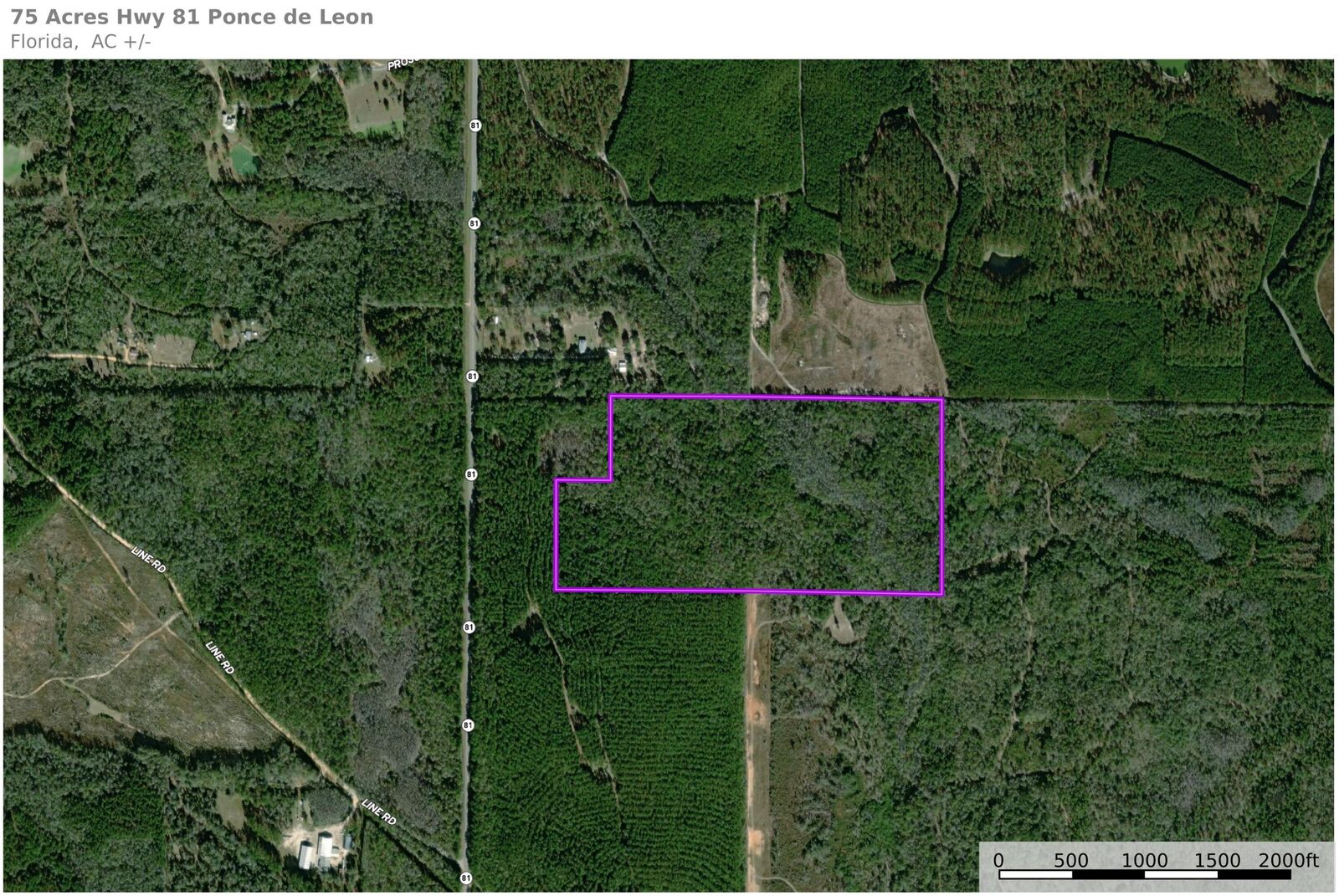 Property Photo:  75 Acres N Florida 81  FL 32455 