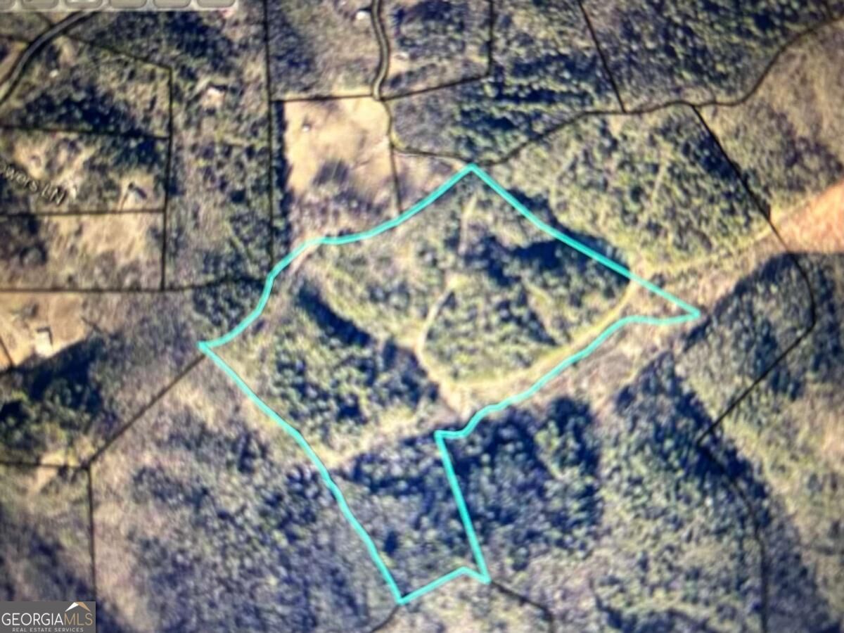 Property Photo:  40 Acre Valley Lake Road  GA 30559 