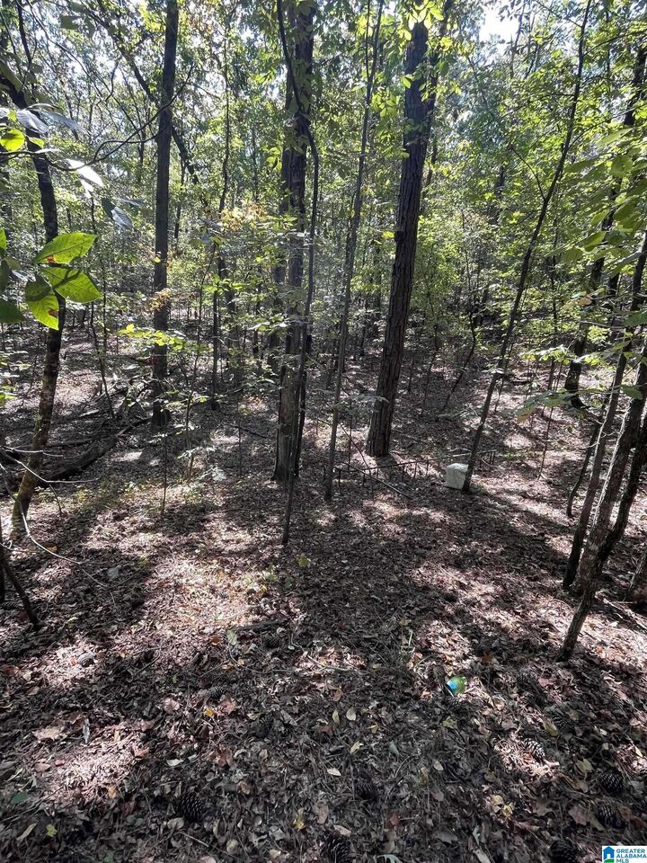 Property Photo:  4190 Brill Drive 10.34  AL 35022 