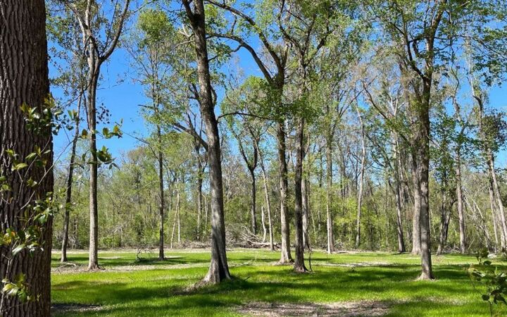 Property Photo: