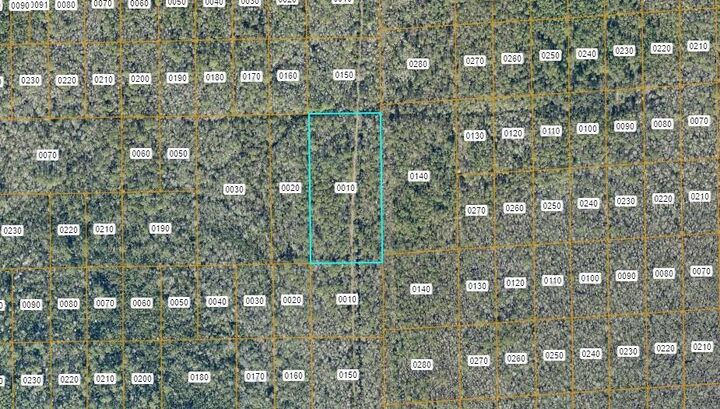 Property Photo:  No Street  FL 32744 