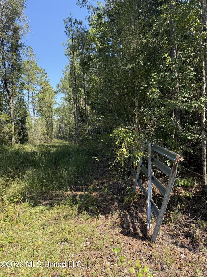 Property Photo:  60 Acres Firth Littlefield Road  MS 39452 