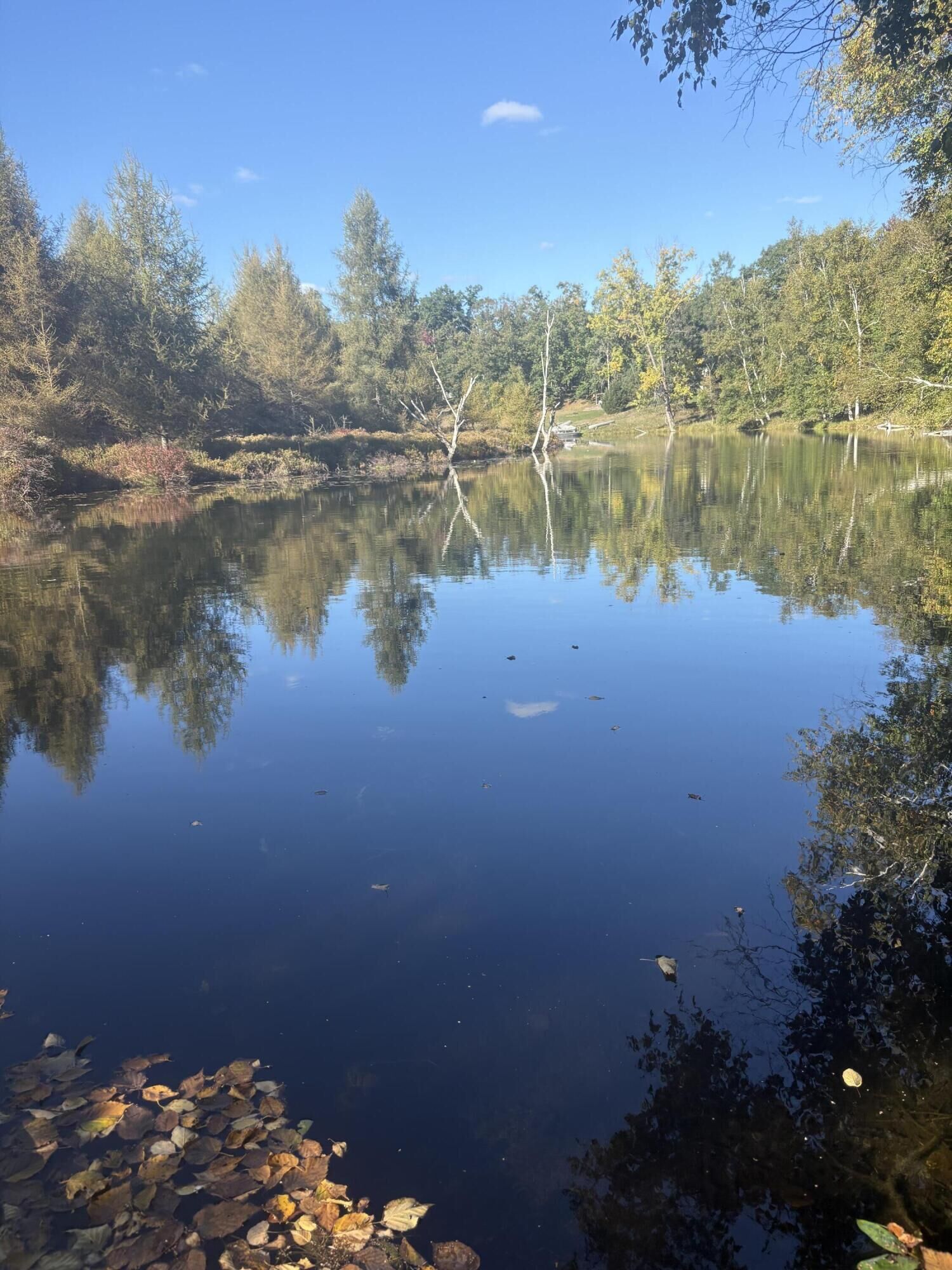 Property Photo:  9025 Boggie Drive  MI 49346 