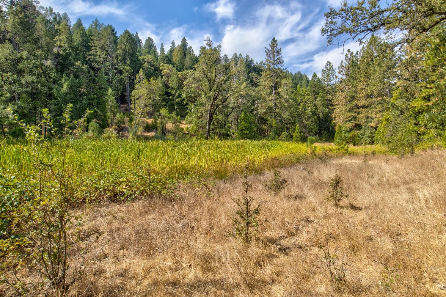 Property Photo:  26835 State Highway 88  CA 95666 