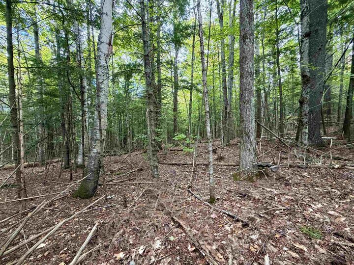 Property Photo: Windmill Road NH 03223