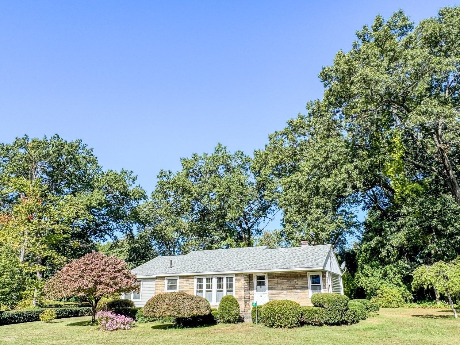 Property Photo:  54 Dell Street  MA 01376 