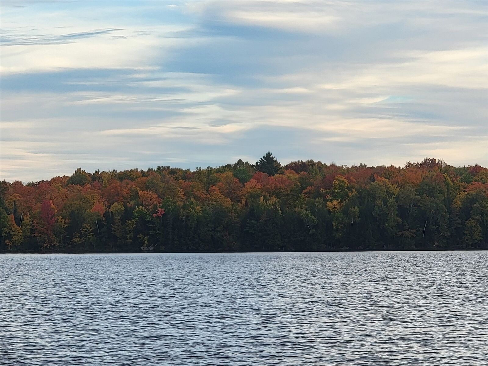 Property Photo:  Tbd Woodduck Lane  WI 54843 