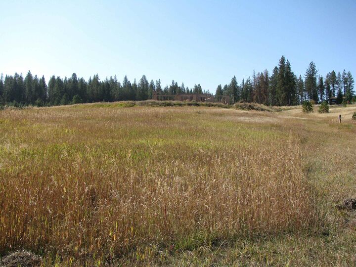 Property Photo:  7308 E Bigelow Gulch Rd  WA 99217 